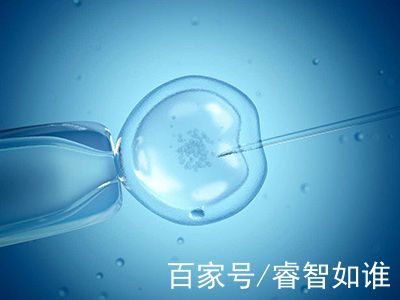 胚胎学家